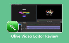 Olive Video Editor Review
