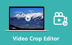 Video Crop Editor