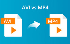 AVI 対 MP4