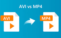 AVI vs MP4