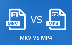 MKV Til MP4