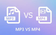 MP3対MP4