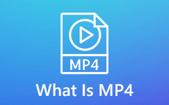 ¿Qué es MP4?