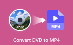 Cómo convertir DVD a MP4