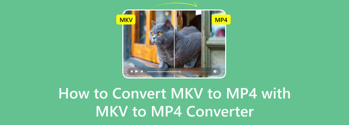 MKV til MP4