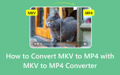 Da MKV a MP4