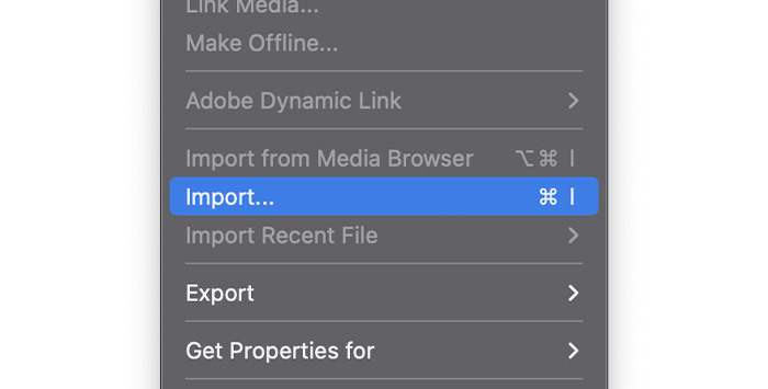 Add Video to Premiere