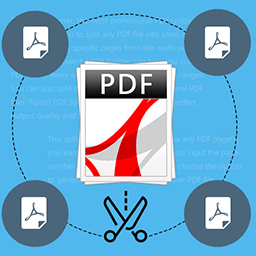 PDF vágó