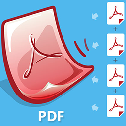 Joiner PDF