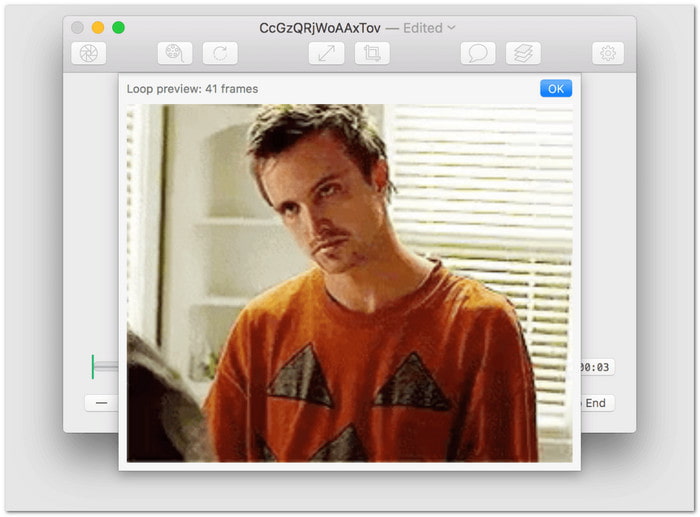 GIF Brewery Top GIF Resizer on Desktop