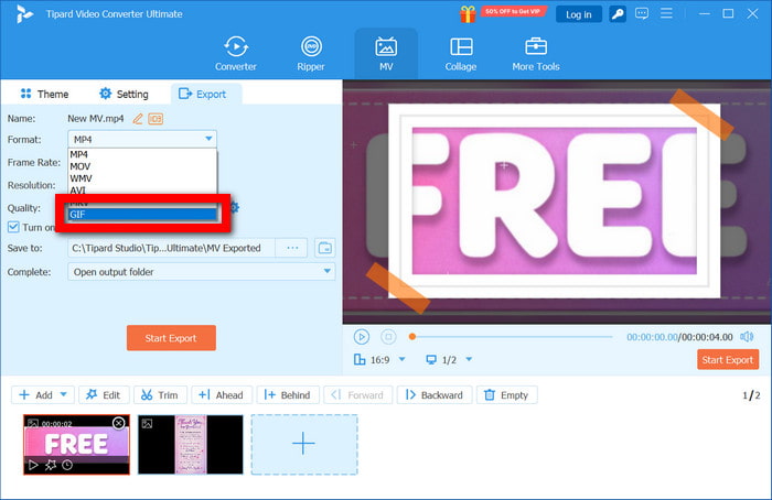 GIF Output Format
