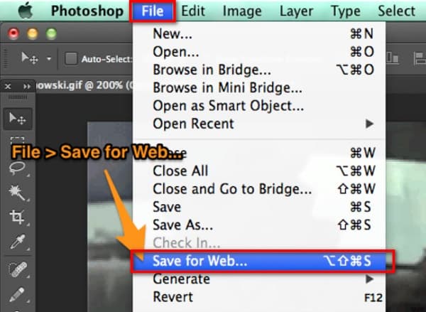 File Save Web