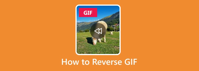 Comment inverser le GIF