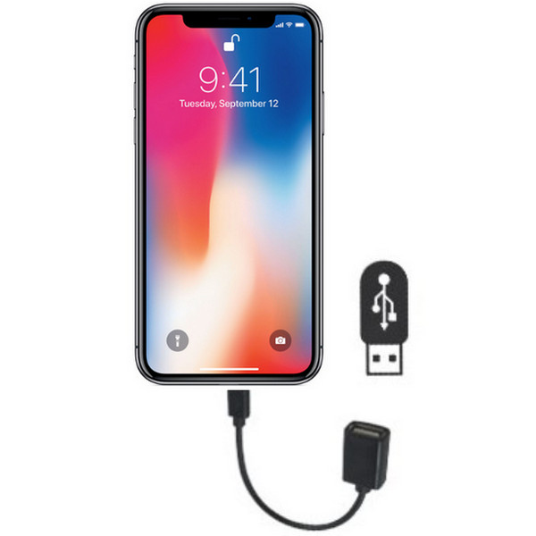 iPhone USB-overførsel OTG