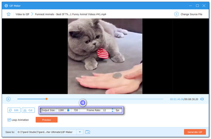 Fine Tune The Gif