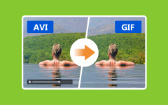 AVI to GIF