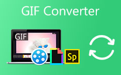 Convertisseur GIF