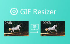 GIF Resizer