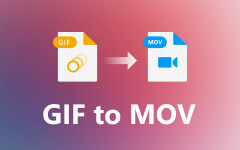 GIF til MOV