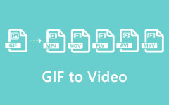 GIF para vídeo