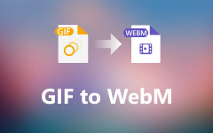 GIF a WEBM