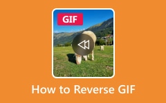 Comment inverser le GIF