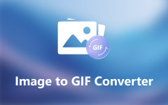 Conversor de imagem para GIF