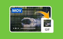 MOV til GIF