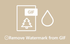 Eliminar marca de agua de GIF