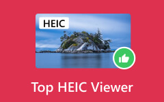 Visor HEIC superior