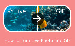 Trasforma la foto dal vivo in GIF