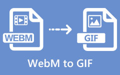 WEBM إلى GIF
