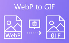 WebP a GIF