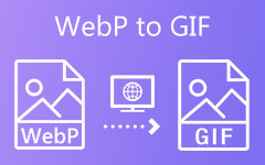 WebP naar GIF