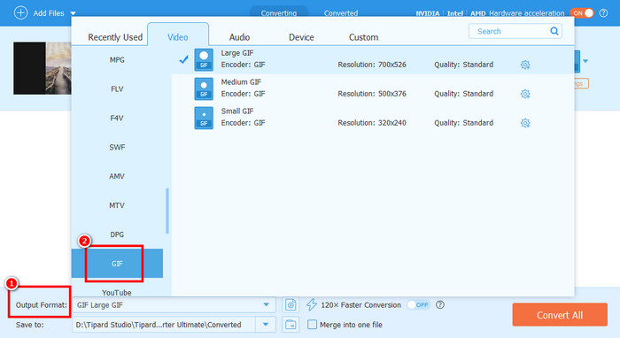 Output Format GIF Tipard