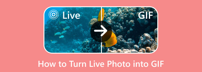 Turn Live Photo Into GIF