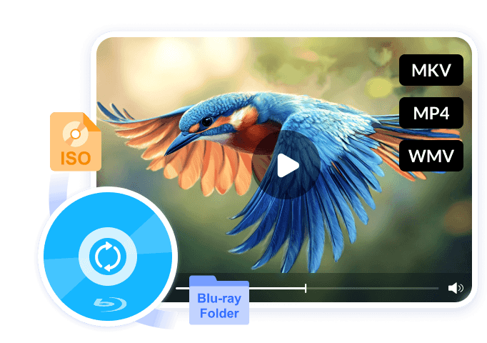 Blu-ray Converter