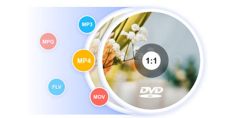 DVD Ripper