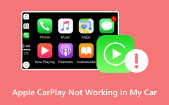 App Car Play Nor Working in My Car