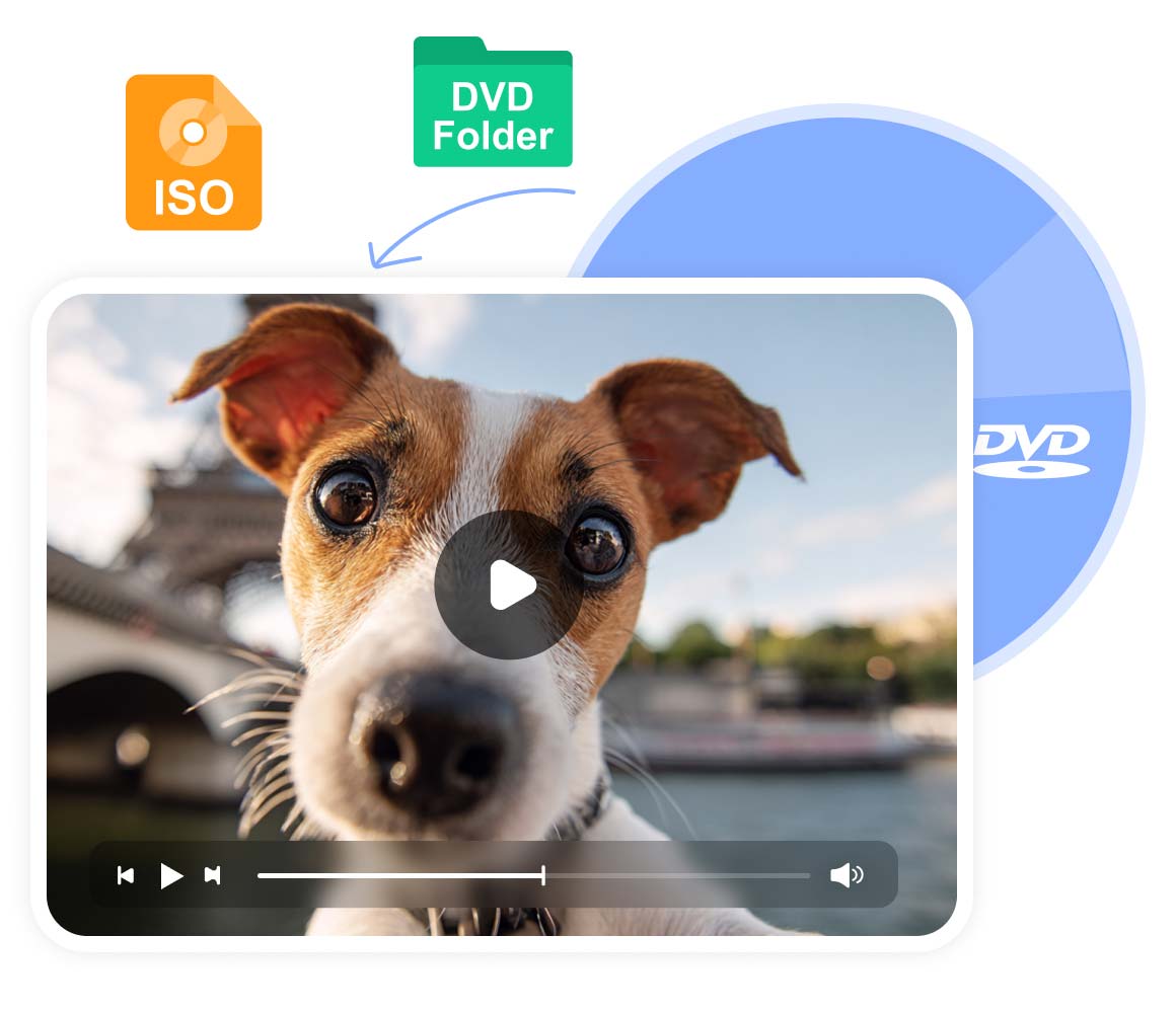 Rip Dvd to Video