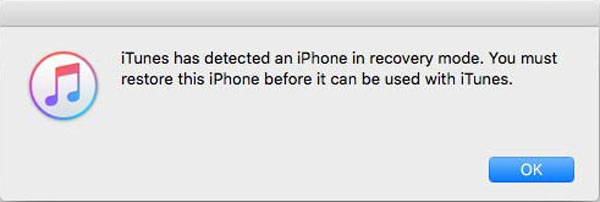 Detected iPhone Using Recovery Mode