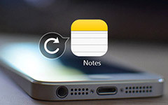 Note per l'iPhone di backup