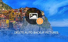 Delete Auto Backup Pictures
