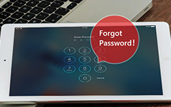 Hai dimenticato la password dell'iPad