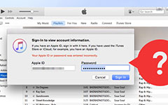 Reset iTunes Password