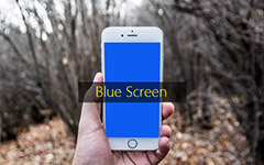 Correggi lo schermo blu di iPhone