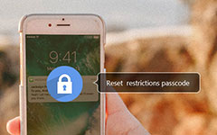 Reset Restriction Passcode iPhoneen