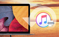 Restaurar datos en la biblioteca de iTunes