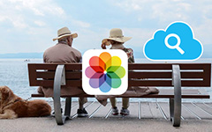 Ver iCloud Photos en línea