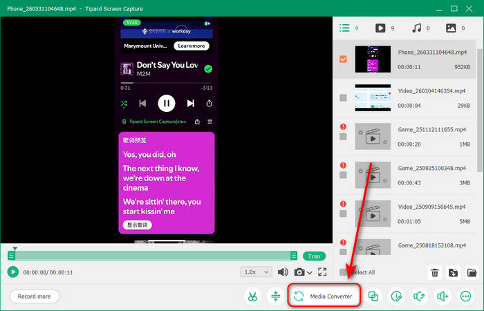 Media Converter in Tipard Screen Capture
